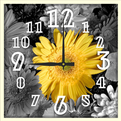 Часы настенные со стеклом "Цветы на черно-белом фоне" цвет Выбеленный дуб (chst-b06)