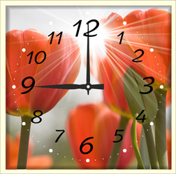 Часы настенные со стеклом "Солнечные цветы" цвет Выбеленный дуб (chst-b13)
