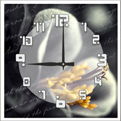 Часы настенные со стеклом "Цветы в виньетке" цвет Белый (chst-wh07)