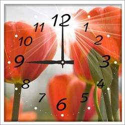 Часы настенные со стеклом "Солнечные цветы" цвет Белый (chst-wh13)